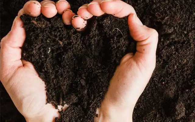 soil in the shape of a heart